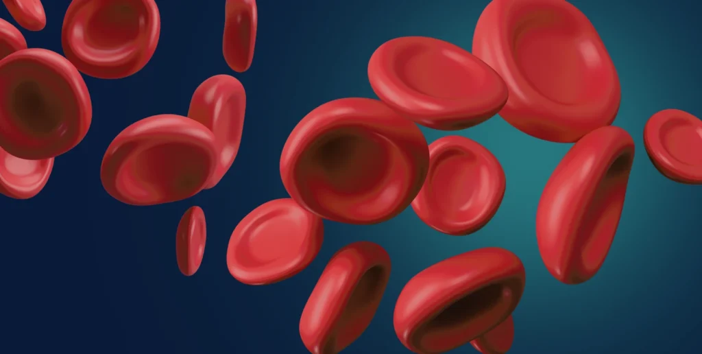 fa9f8cd2 23df 4bda 838e 96dc5c85d636 blood tests